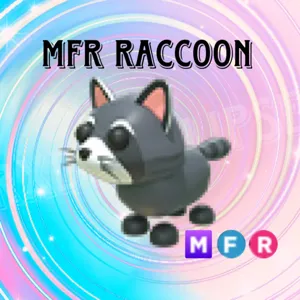 MFR Raccoon - AM