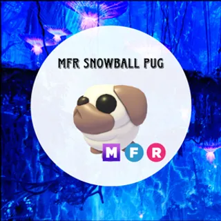 MFR Snowball Pug - Adopt