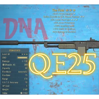 Weapon | QE25 Fixer