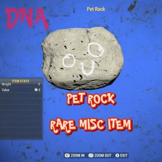 PET ROCK