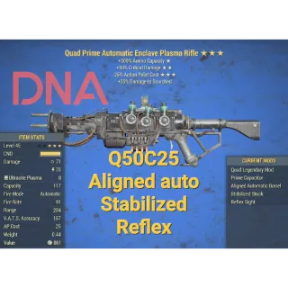 Q5025 Auto Enclave plasma rifle