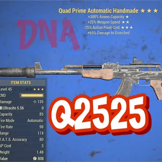 Q2525 Handmade Rifle