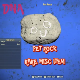 PET ROCK