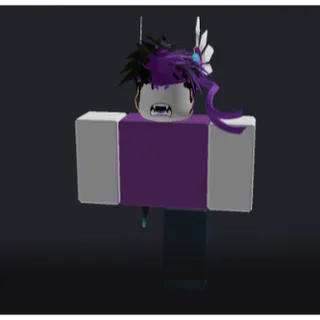 ROBLOX RARE ACCOUNT 2017