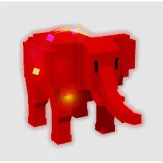 10KG+ Rainbow ELEPHANT CHEAP