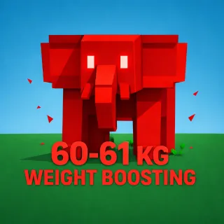 ⚡ [CHEAPEST] 60-61 KG Weight Boosting ⚡ Fast & Safe (Up to 5.5KG)