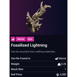 Fossilized Lightning
