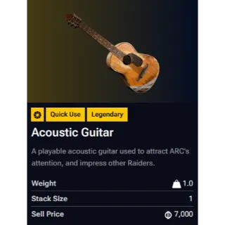 Acoustic Guitar