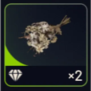 2x Dead Flowers - Arc Raiders