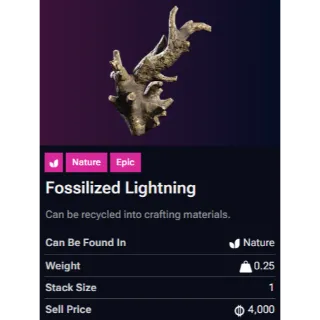 Fossilized Lightning