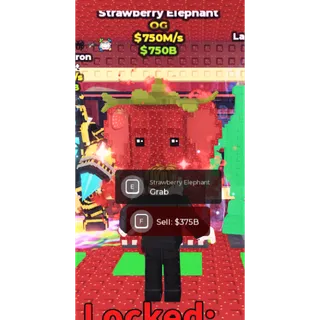 strawberry elephant