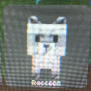 6x raccoons