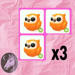 neon clementine owl x3