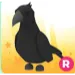 R Crow