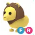 FR LION