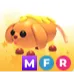 MFR CORN DOGGO