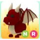 NR DRAGON