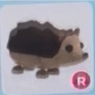 Ride Hedgehog