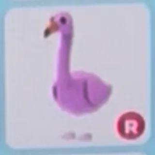 R Flamingo