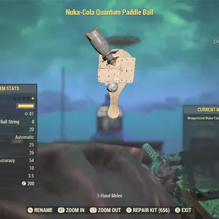 Nuka Quantum Paddle