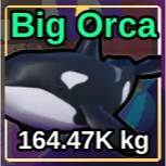 Orca Fish It