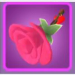 Accessories | CLEAN 100% ROSE MOUNT