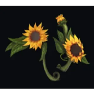 Sunflower Set