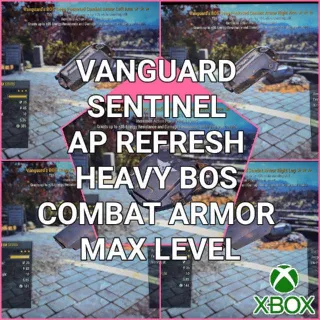 VSA BOS COMBAT ARMOR