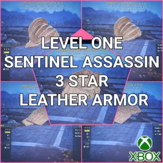 Level One Sent Assassin