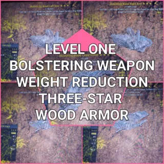 Apparel | Level 1 Weapon Weight
