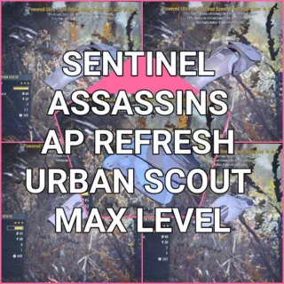 PSA Urban Scout