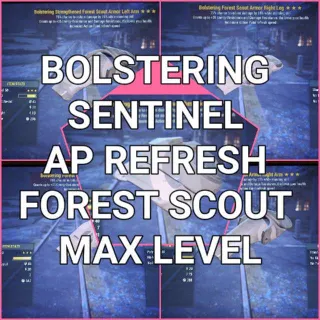 Apparel | BSA Forrest Scout Set
