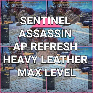 Apparel | PSA Heavy Leather Set