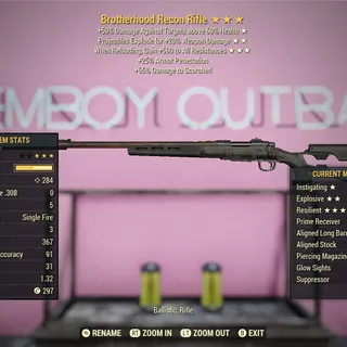 IE Brotherhood Recon Rifle