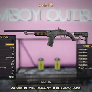 NW Combat Rifle