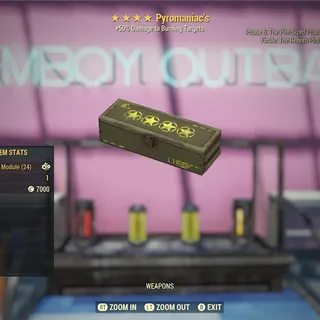 200x Pyromaniac's Mods