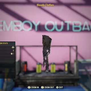 Bloody Clothes