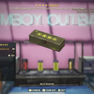 100x Fencer's Mods