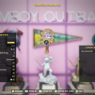 Electrified Paddle Ball