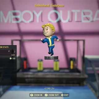 1k Endurance Bobbleheads