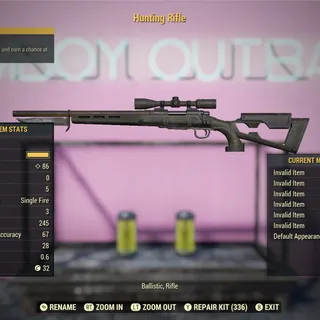 NW Hunting Rifle