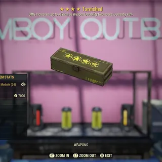 200x Tarnished Mods