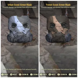 FSA mask & USA mask