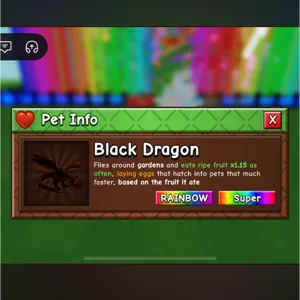 Rainbow Black Dragon