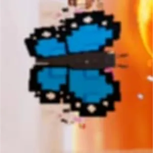 Butterfly (New pet😍)