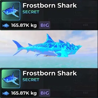 BIG FROSTBORN SHARK