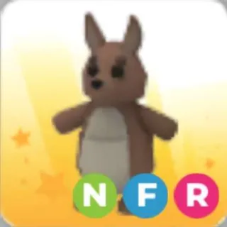 NFR Kangaroo