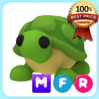 MFR Turtle