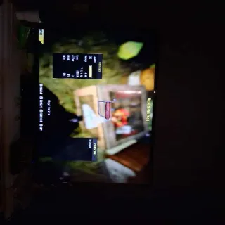 Lvl 50 Invisible Revolutionary Sword