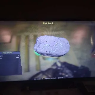 Pet Rock (Misc Item)